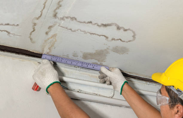 Reliable Water Damage contractor in Hamill, SD by Water Damage Irwin